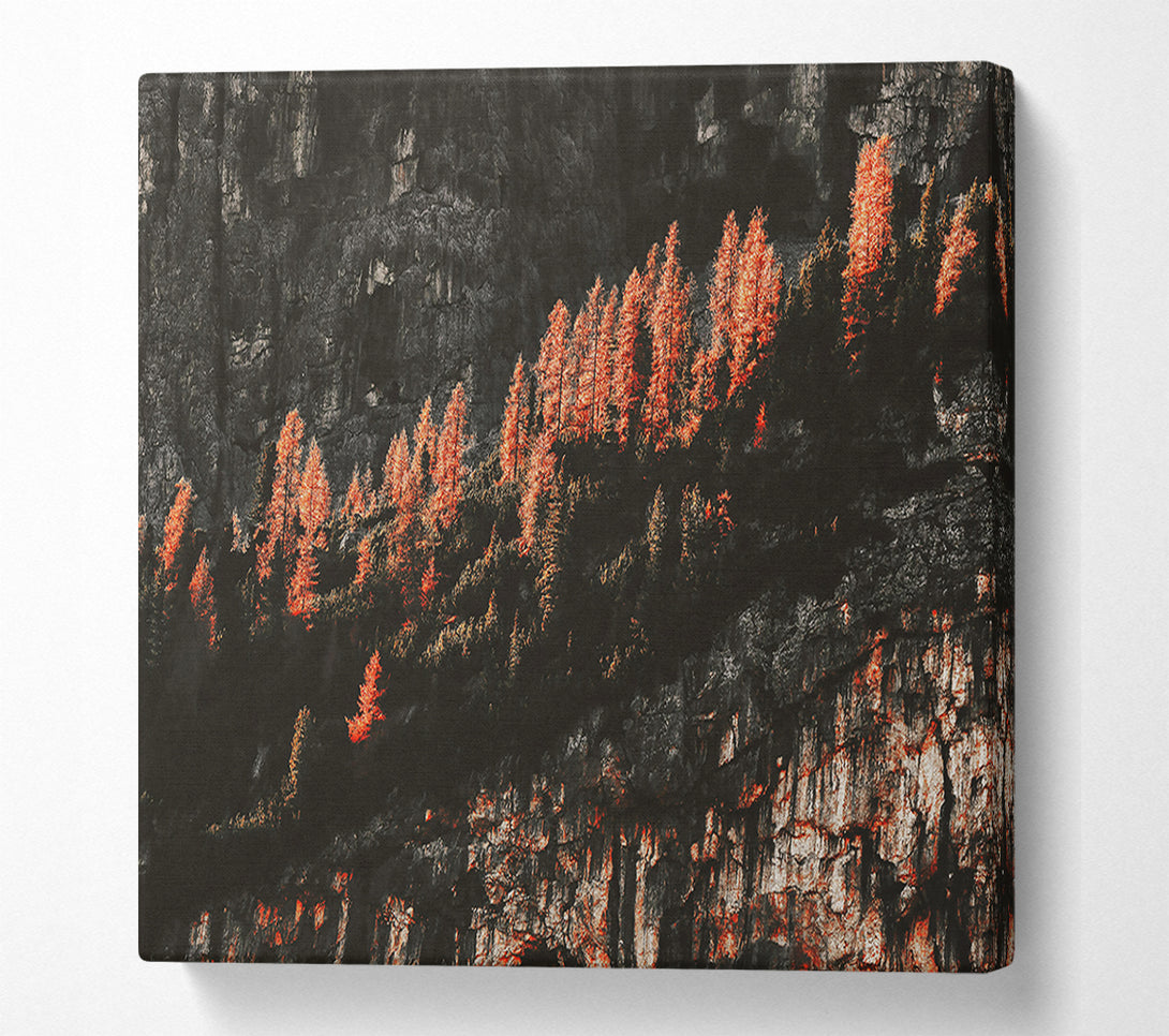  A Canvas Print of Crimson Cliffside Trees Canvas Art
