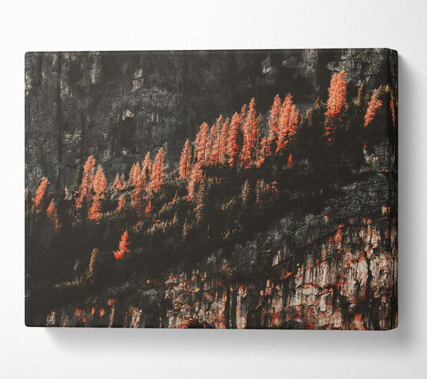  A Canvas Print of Crimson Cliffside Trees Canvas Art