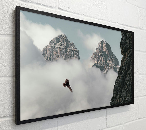 Grey Sky Solitude