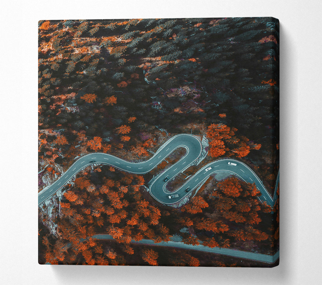  A Canvas Print of Orange Forest Road Winding Canvas Art