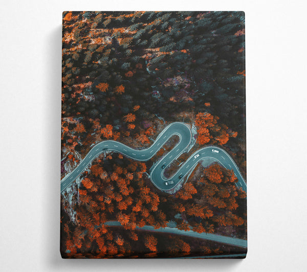  A Canvas Print of Orange Forest Road Winding Canvas Art