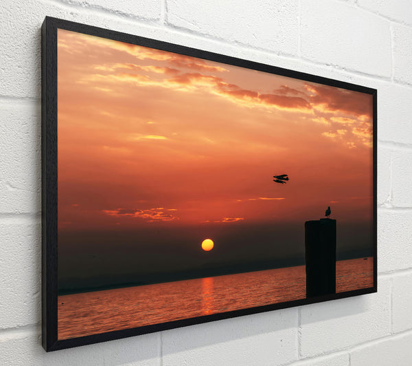 Orange Sunset Flight