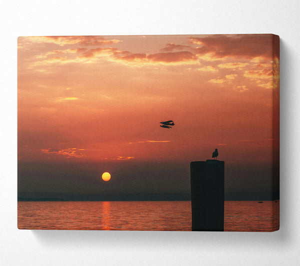  A Canvas Print of Orange Sunset Flight Canvas Wall Art