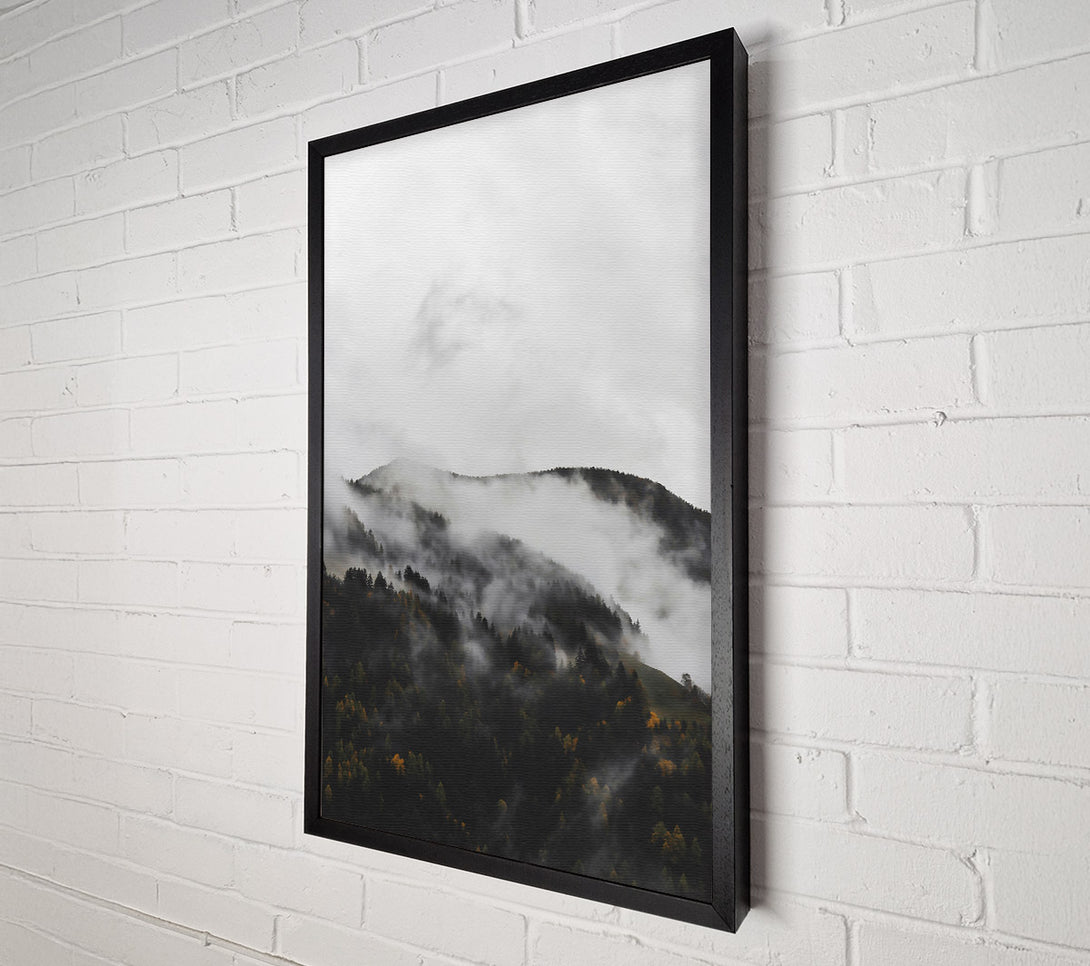  A Canvas Print of Gray Mist On Pines Canvas Print