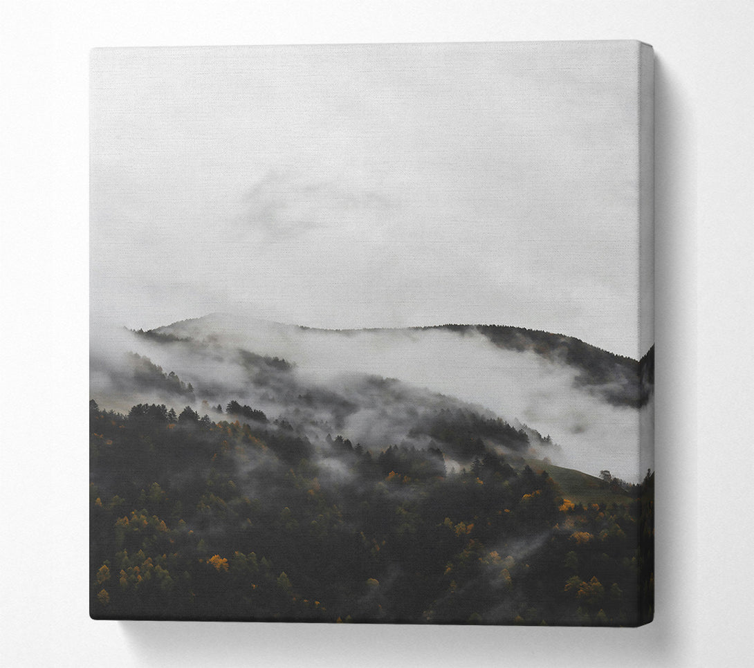  A Canvas Print of Gray Mist On Pines Canvas Print