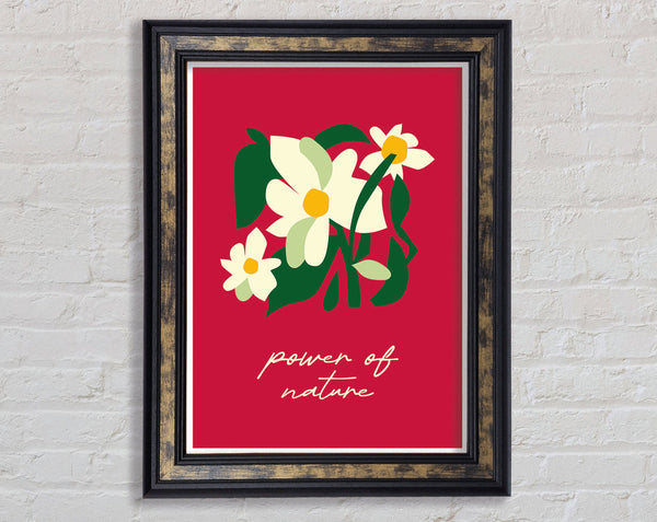 Power Of Nature Bohemian Framed Print