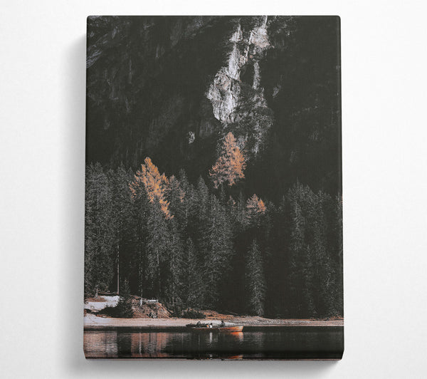  A Canvas Print of Golden Pines And Shadows Canvas Art