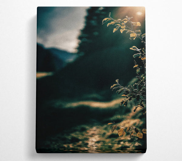  A Canvas Print of Golden Light Through Green Canvas Print