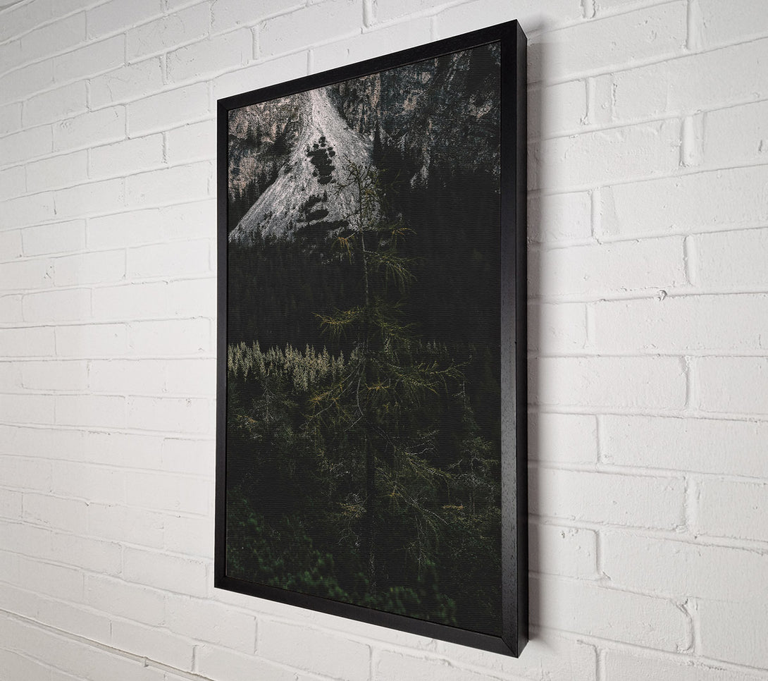  A Canvas Print of Silent Green Forest Canvas Art