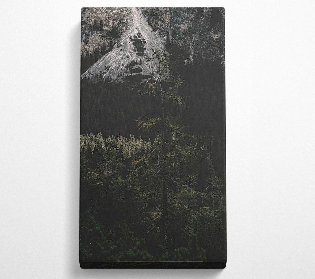  A Canvas Print of Silent Green Forest Canvas Art