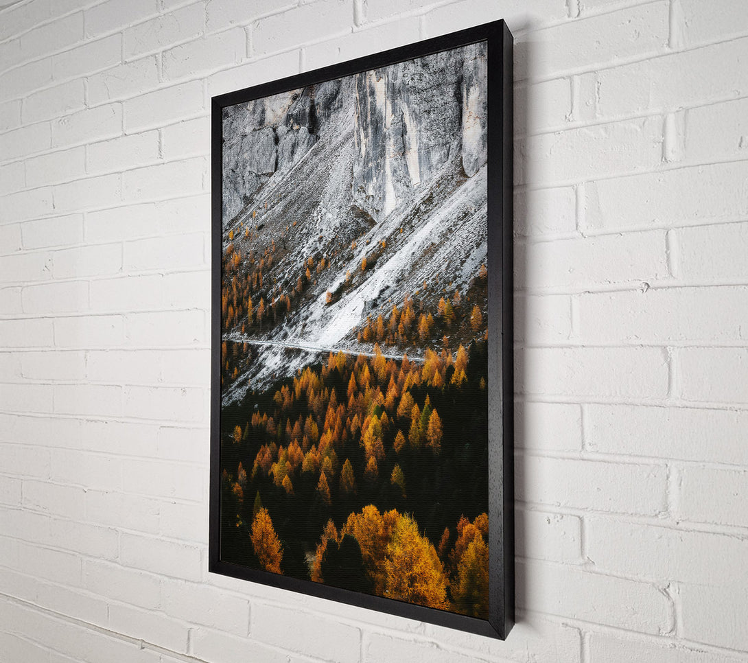  A Canvas Print of Golden Pines And Snow Canvas Art