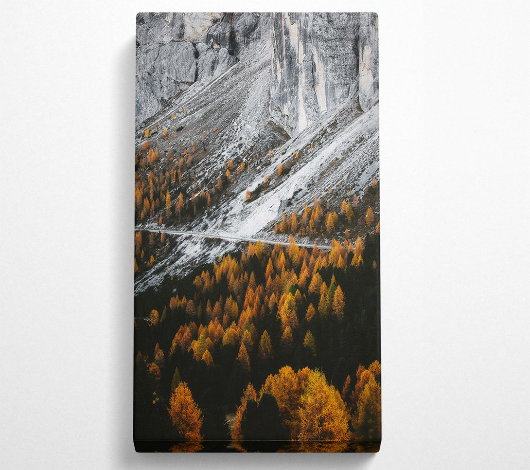  A Canvas Print of Golden Pines And Snow Canvas Art