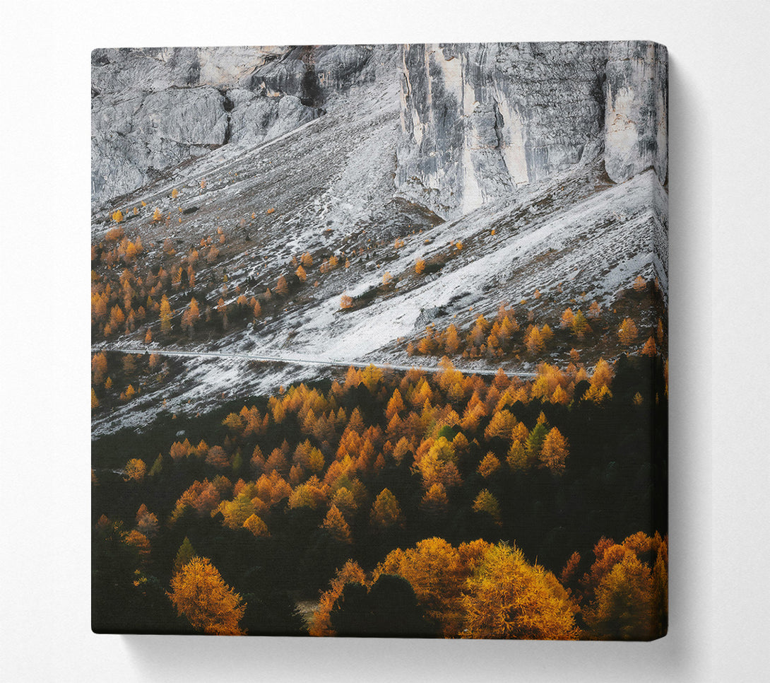  A Canvas Print of Golden Pines And Snow Canvas Art