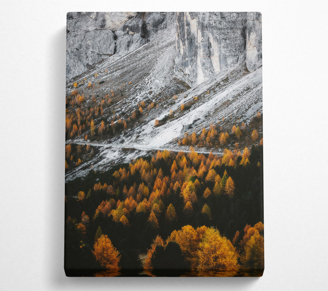  A Canvas Print of Golden Pines And Snow Canvas Art