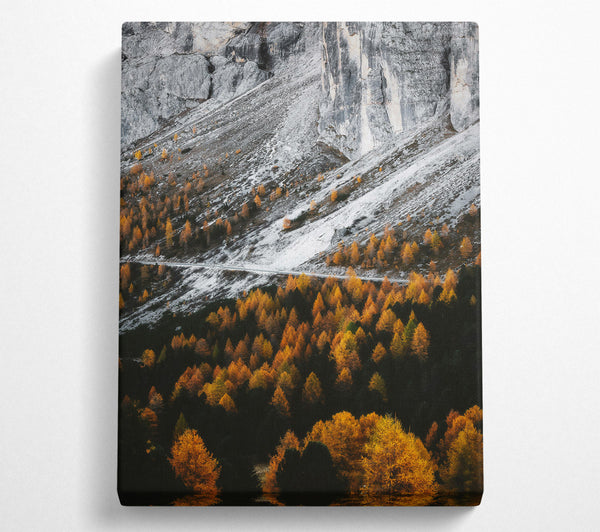  A Canvas Print of Golden Pines And Snow Canvas Art