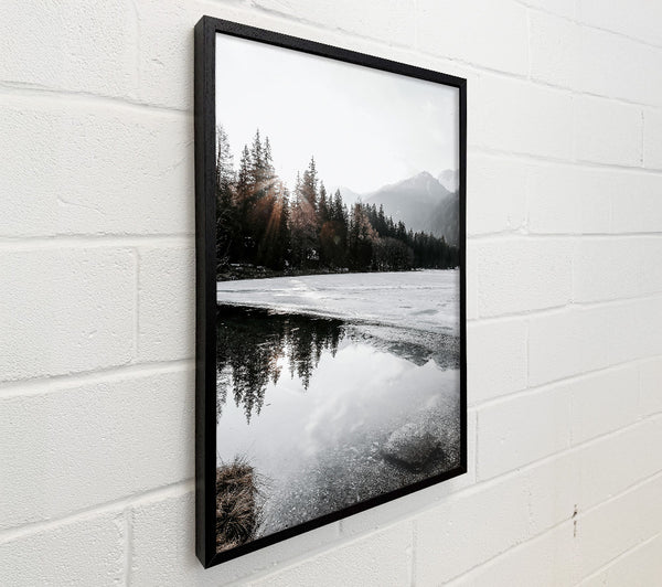 White Sun Reflections