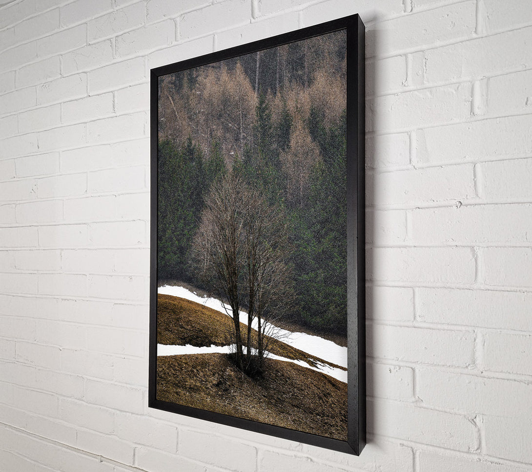  A Canvas Print of White Snow Brown Trees Canvas Print