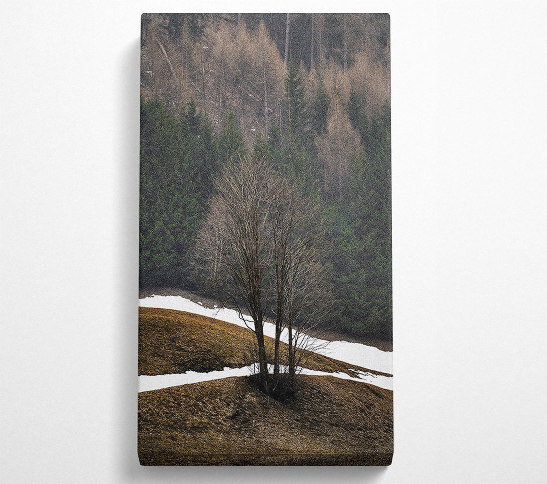 A Canvas Print of White Snow Brown Trees Canvas Print