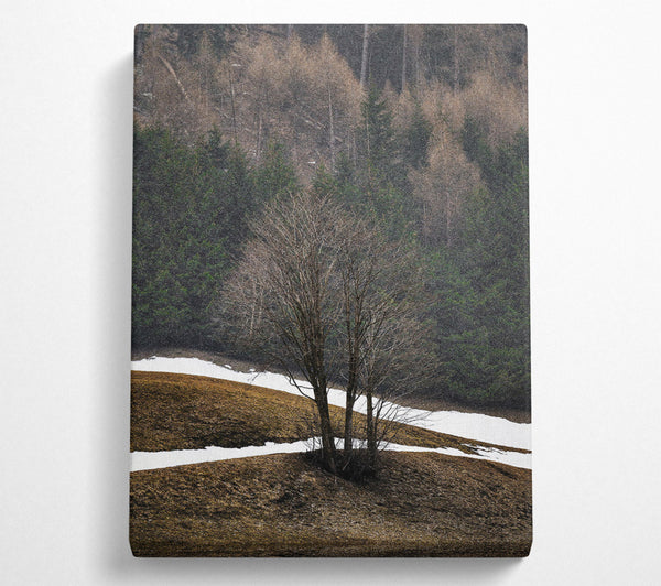  A Canvas Print of White Snow Brown Trees Canvas Print