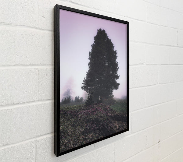Lavender Fog Silhouette