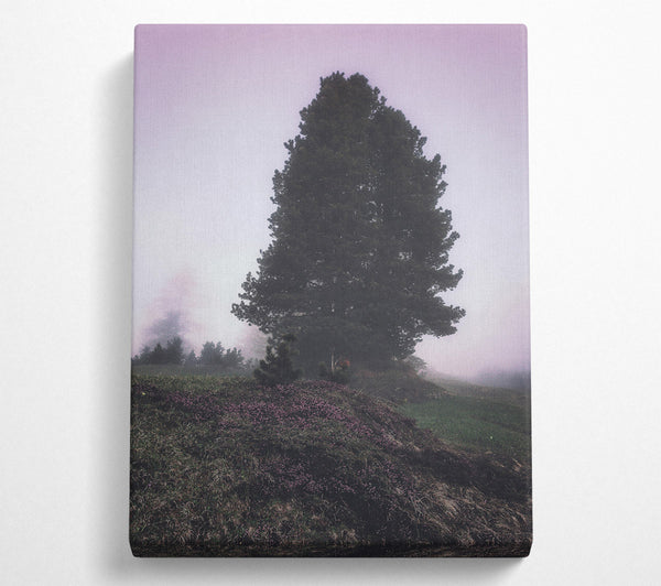  A Canvas Print of Lavender Fog Silhouette Canvas Art