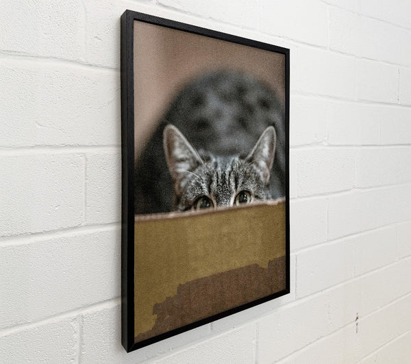 Golden Eye Peekaboo