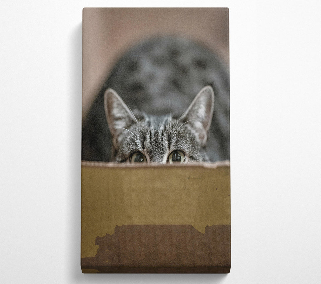  A Canvas Print of Golden Eye Peekaboo Canvas Art