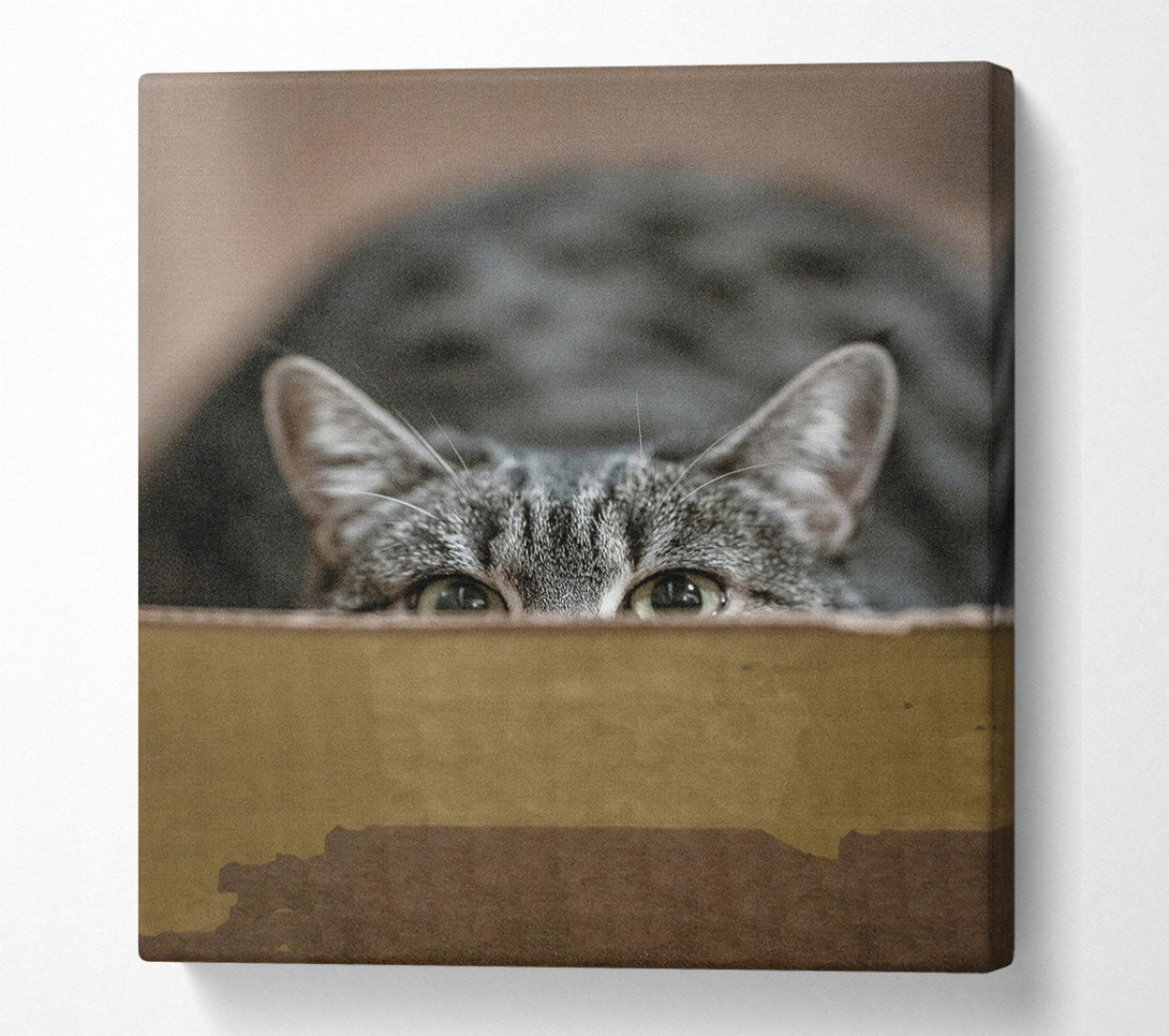  A Canvas Print of Golden Eye Peekaboo Canvas Art