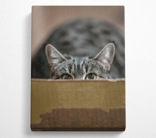  A Canvas Print of Golden Eye Peekaboo Canvas Art