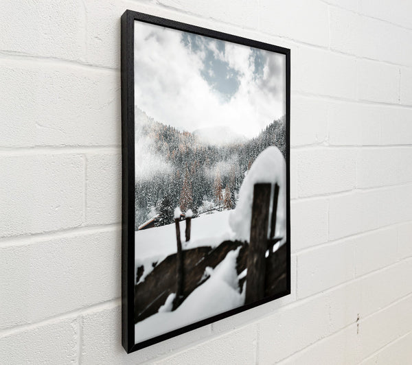 White Winter Woodscape