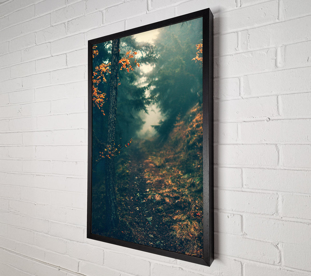  A Canvas Print of Deep Green Forest Path Canvas Print