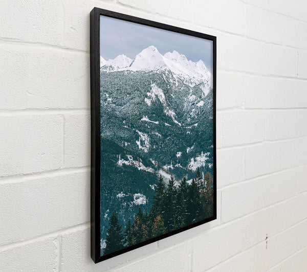 White Peaks Over Forest Green