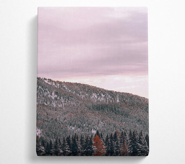  A Canvas Print of Pink Sky Forest Canvas Wall Art