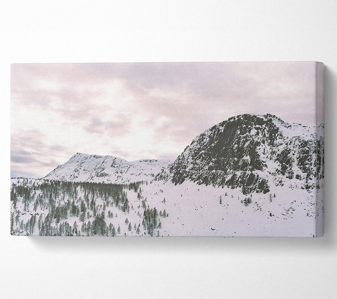  A Canvas Print of Pale Sky Over Snow Canvas Wall Art