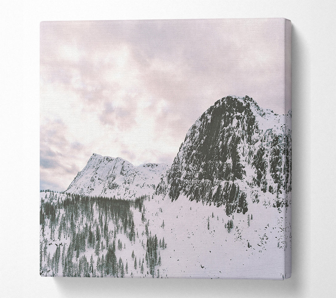  A Canvas Print of Pale Sky Over Snow Canvas Wall Art