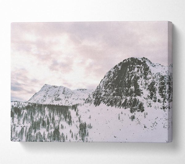  A Canvas Print of Pale Sky Over Snow Canvas Wall Art