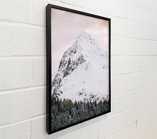 Pale Peak And Pines