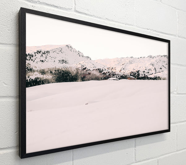 Pale Snowscape Solitude