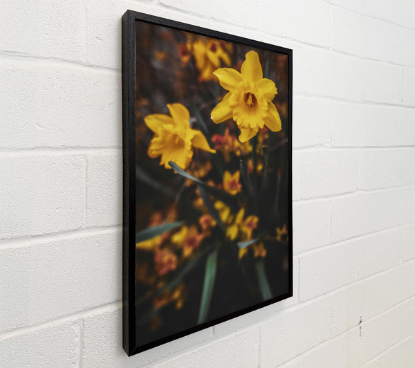 Golden Bloom In Focus