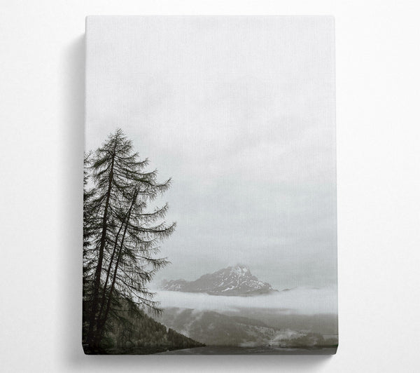  A Canvas Print of Silver Mountain Mist Canvas Art
