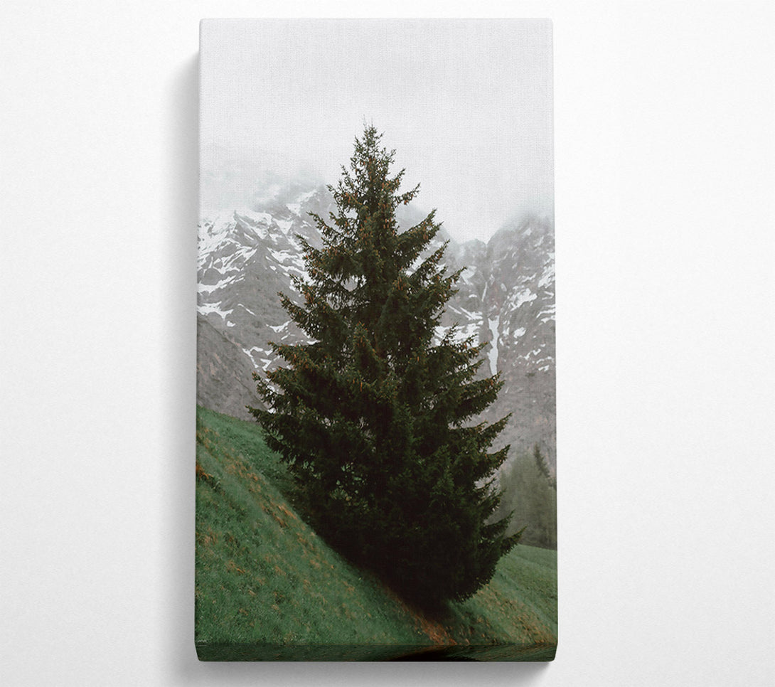  A Canvas Print of Emerald Pine In Mist Canvas Wall Art
