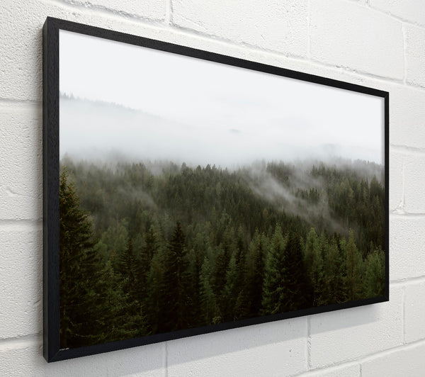 Emerald Mist Forest