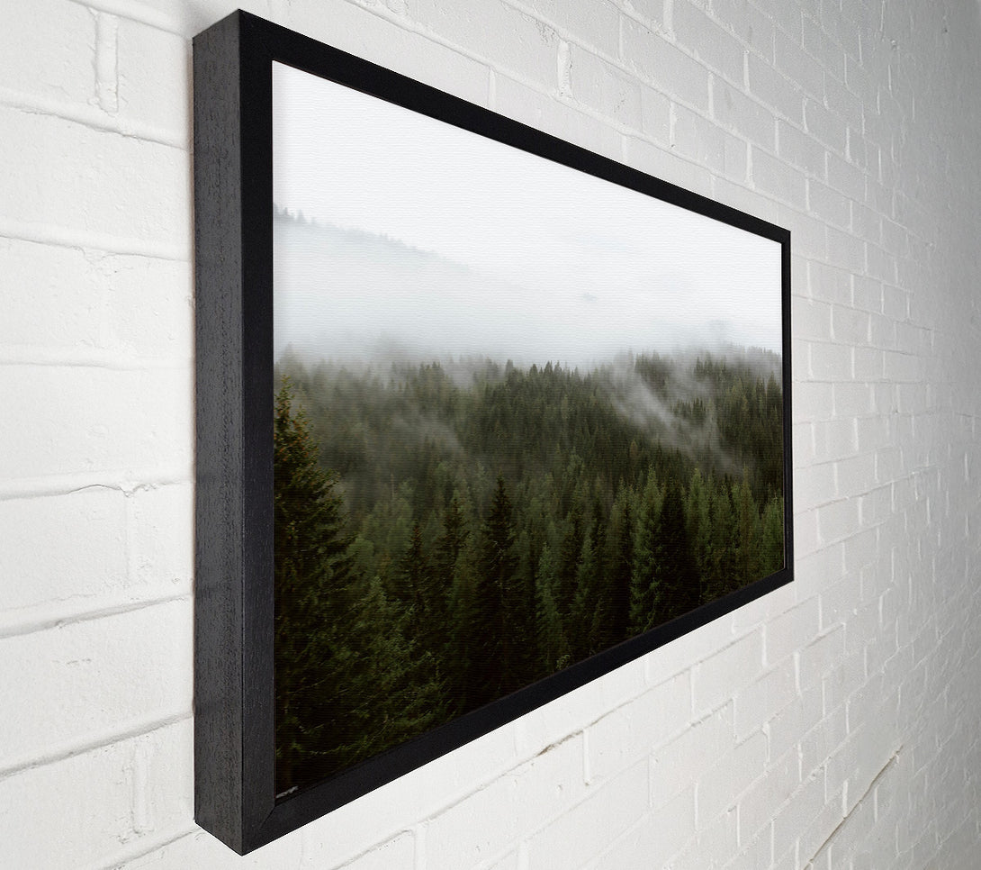  A Canvas Print of Emerald Mist Forest Canvas Wall Art