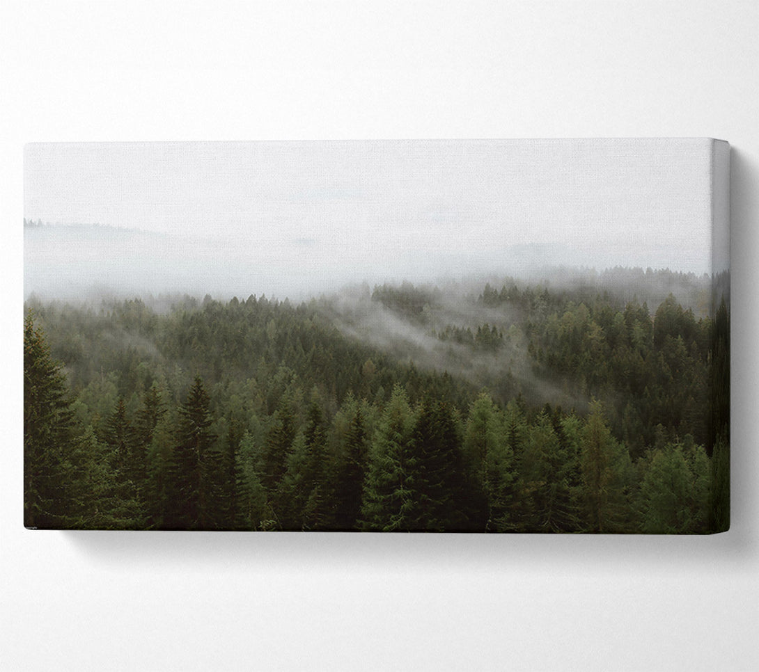  A Canvas Print of Emerald Mist Forest Canvas Wall Art