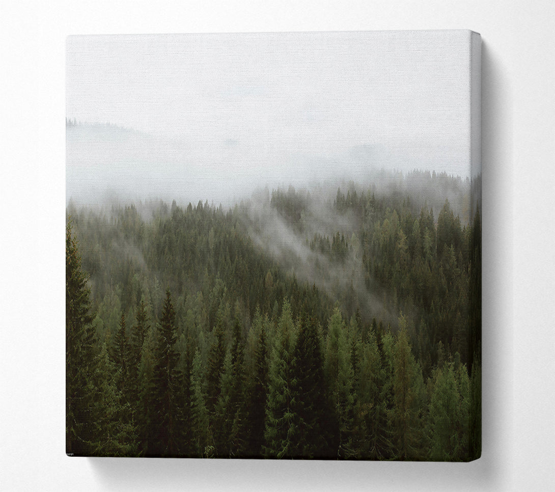  A Canvas Print of Emerald Mist Forest Canvas Wall Art