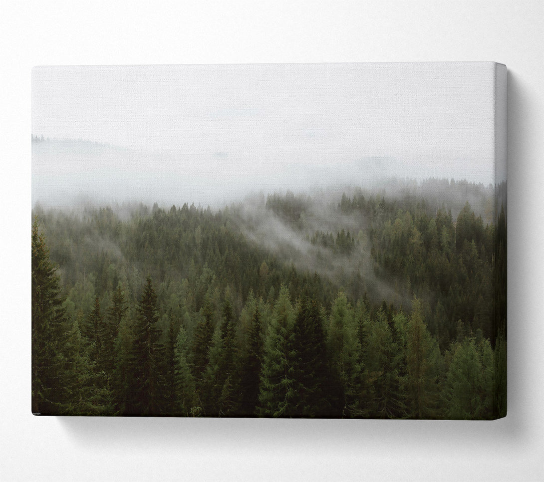  A Canvas Print of Emerald Mist Forest Canvas Wall Art