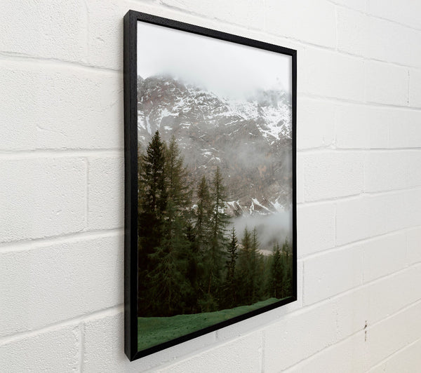Green Peaks In Mist