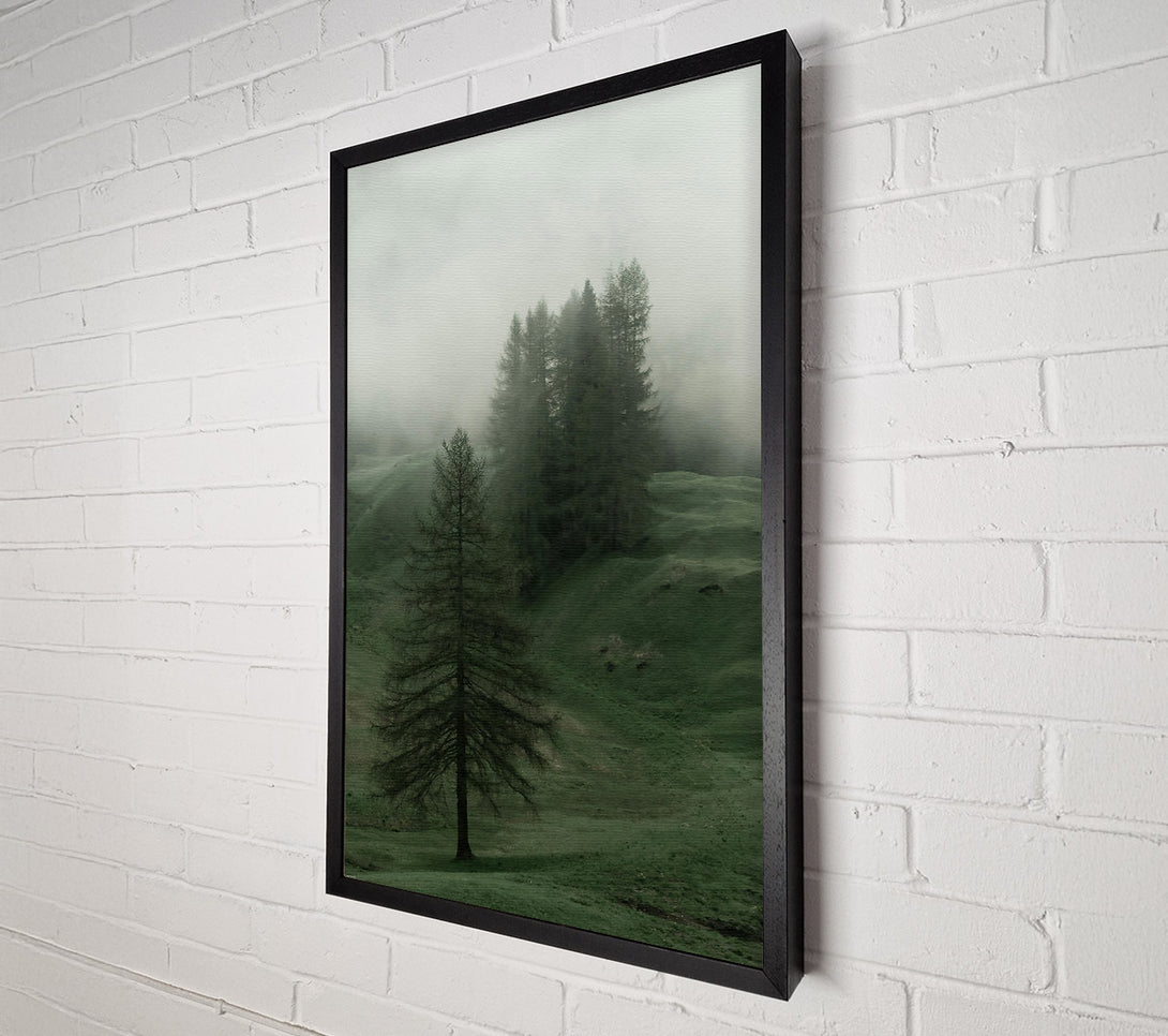 A Canvas Print of Emerald Foggy Pines Canvas Wall Art