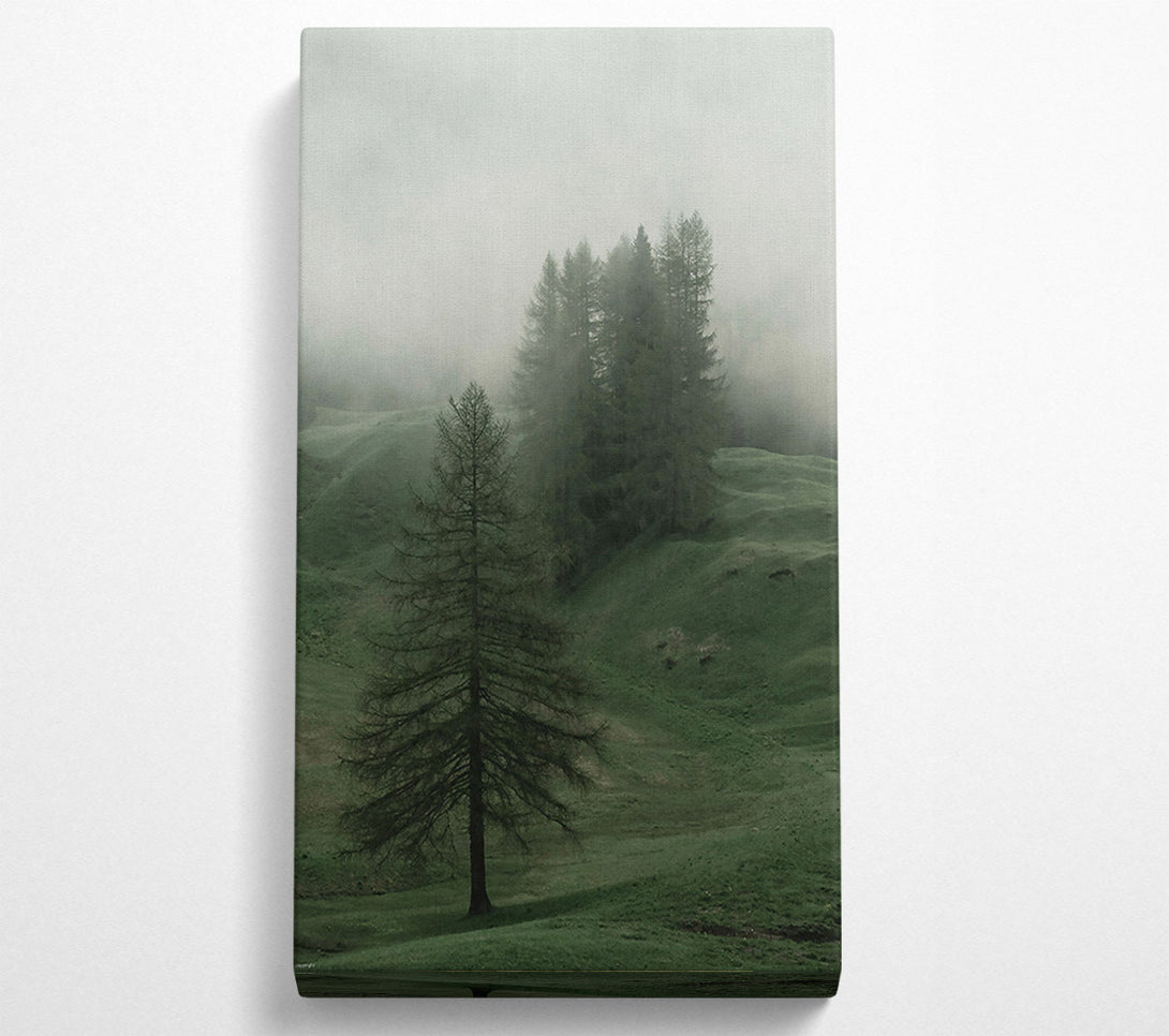  A Canvas Print of Emerald Foggy Pines Canvas Wall Art