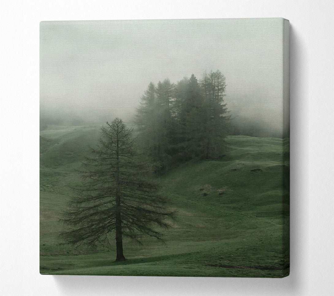  A Canvas Print of Emerald Foggy Pines Canvas Wall Art